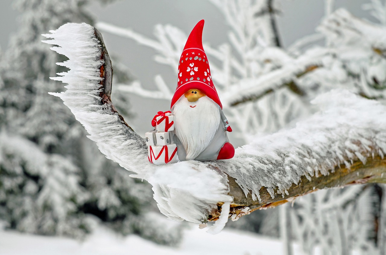 Image of Santa Clause as a gnome on a tree branch